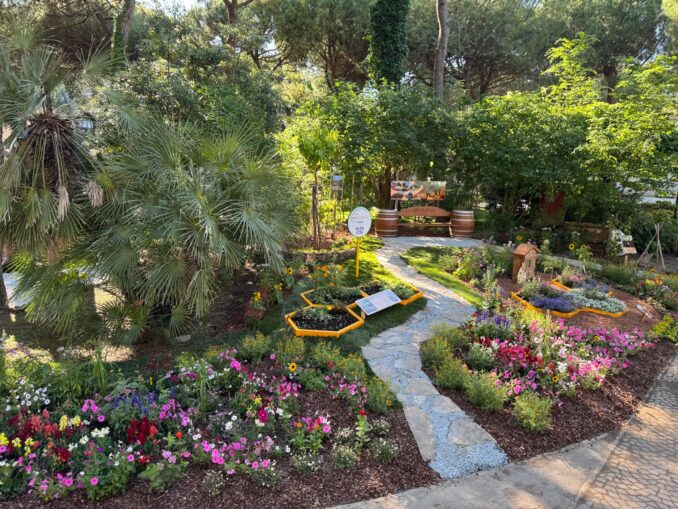 Un’aiuola albese per l’evento internazionale Cervia città giardino 3