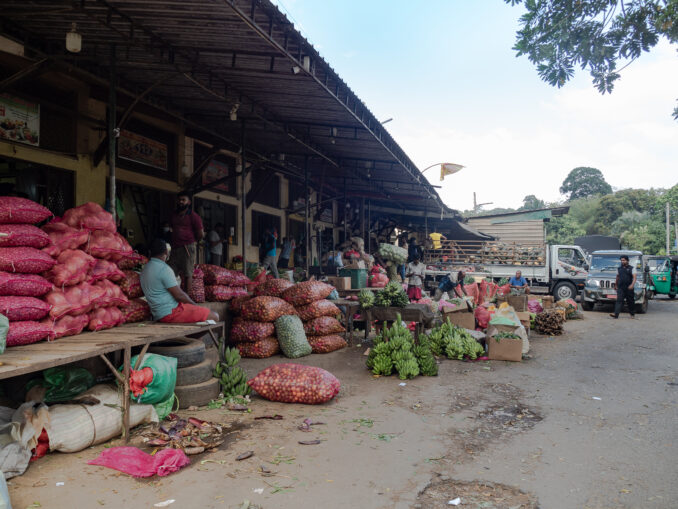 Nello Sri Lanka l’accoglienza è fatta coi sorrisi e la gentilezza