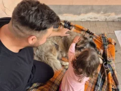 Empatia e rispetto per gli animali si imparano all
