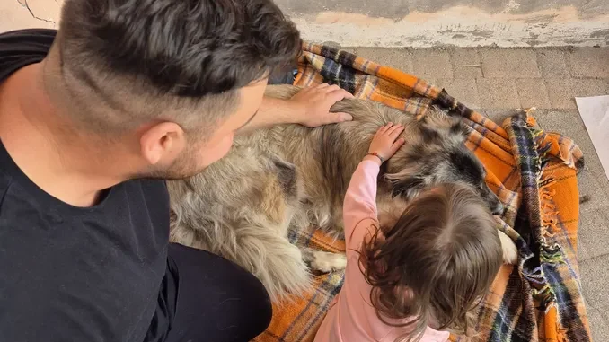 Empatia e rispetto per gli animali si imparano all'asilo: l'esempio di Bra