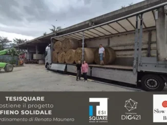 Grazie alla Tesisquare partirà un altro carico di fieno solidale Slow food diretto verso la Sicilia