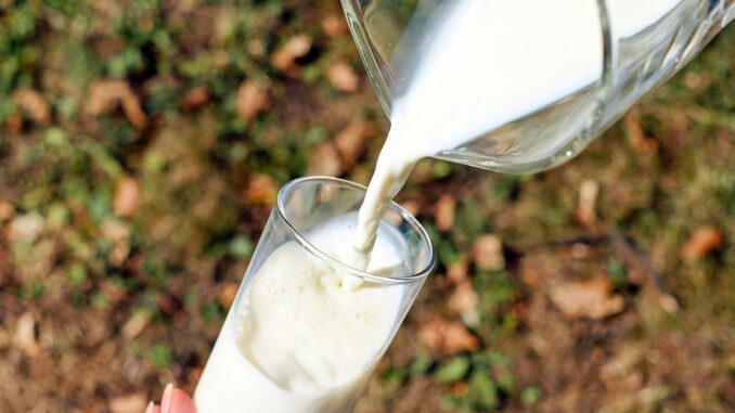 Latte crudo, un alimento da maneggiare con cura