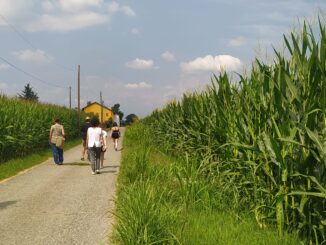 Sentirsi “Come buchi nel cielo”, un festival dedicato alle fragilità