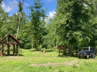 Sabato 10 maggio il bosco della Geminella a Narzole sarà aperto alle visite