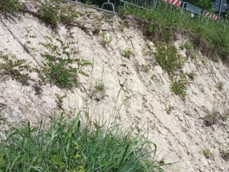 Frane e buche ad Alba: il punto con l'assessore