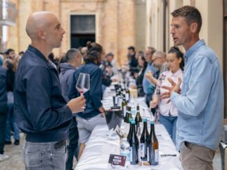 Torna il Dolcetto summer fest a Rodello con oltre 80 etichette