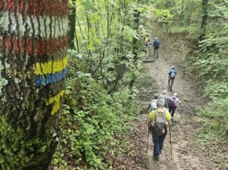 Con Trekking in Langa sui passi di san Francesco e poi diretti in Liguria 2
