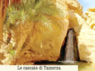 L'iniziativa di Gazzetta / Tunisia: spettacolo di acqua e sabbia 5