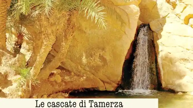 L'iniziativa di Gazzetta / Tunisia: spettacolo di acqua e sabbia 5