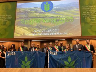 Alba riconfermata Comune Spiga Verde 2025