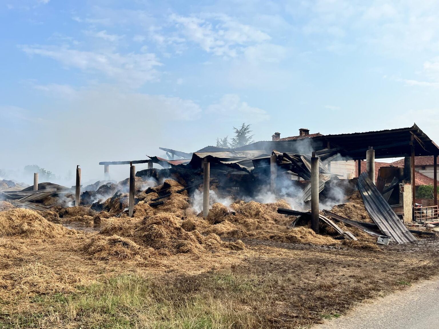 elba report cronaca oggi ultima ora