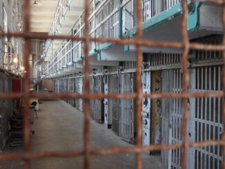 Formaiano è la garante dei detenuti. Il Sappe: «Speriamo che consideri le esigenze della Penitenziaria»