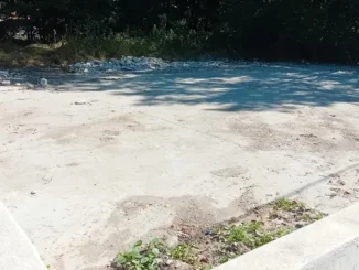 Ripulita dai rifiuti abbandonati l'area d