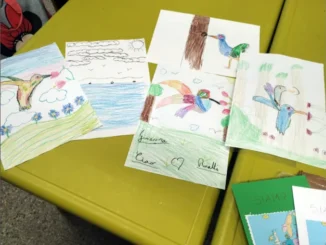 Bra e La Floresta: in attesa del gemellaggio i bambini si scambiano disegni 1