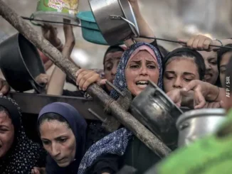 gaza distribuzione cibo