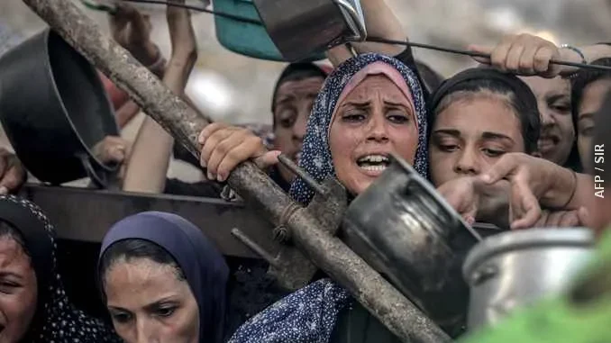 gaza distribuzione cibo