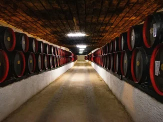Esuberi in cantina, per l'assessorato regionale non si può parlare di grave crisi