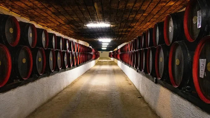 Esuberi in cantina, per l'assessorato regionale non si può parlare di grave crisi