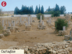 L'iniziativa di Gazzetta / Tunisia, terra dov’è nata la spiritualità occidentale 2