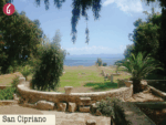 L'iniziativa di Gazzetta / Tunisia, terra dov’è nata la spiritualità occidentale 3
