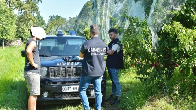 Caporalato nei campi, nella Granda 5 aziende su 10 sono irregolari