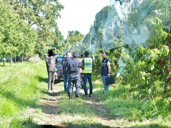 Caporalato nei campi, nella Granda 5 aziende su 10 sono irregolari 1