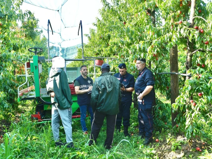 Caporalato nei campi, nella Granda 5 aziende su 10 sono irregolari 2