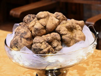 Piemonte: 1,5 milioni per il futuro del tartufo