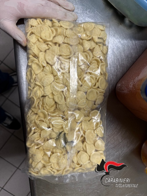 Controlli agroalimentari: sequestrati 700 chili di alimenti e sanzioni per 69mila euro 3
