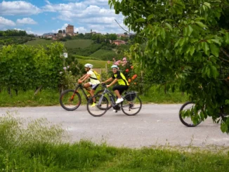 Everyday’s a tour: l’estate 2025 si scopre con una moltitudine di esperienze