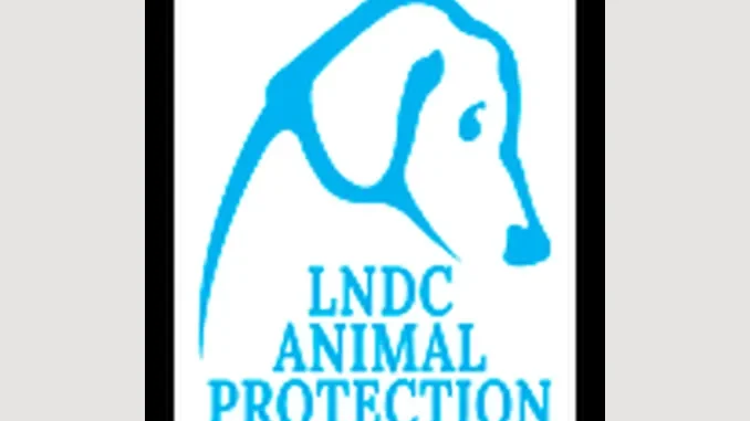 Cane lanciato dal balcone e ucciso a Cuneo, Lndc animal protection sporge denuncia