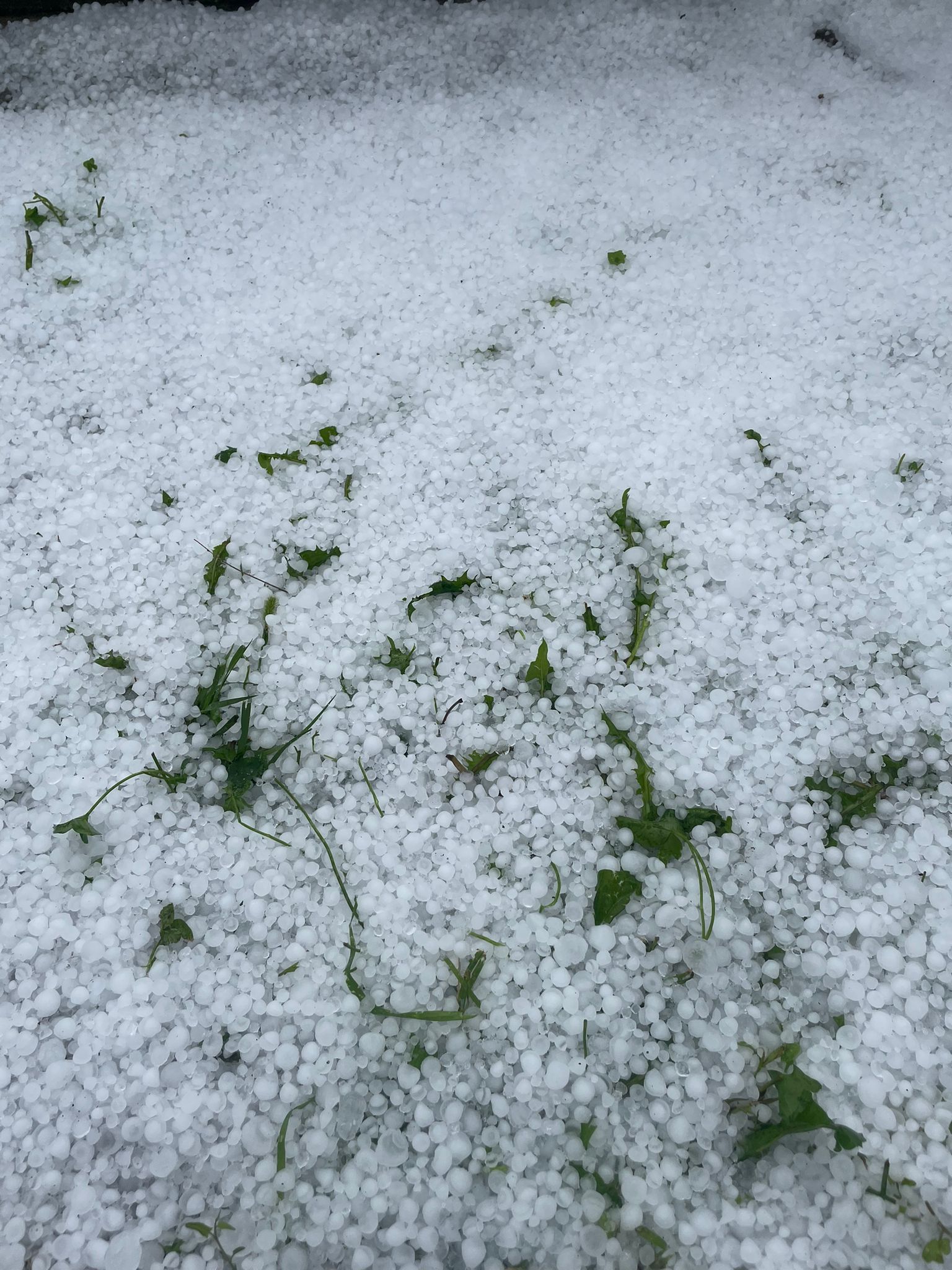 Temporali forti e grandine in Langa [foto e video] 2