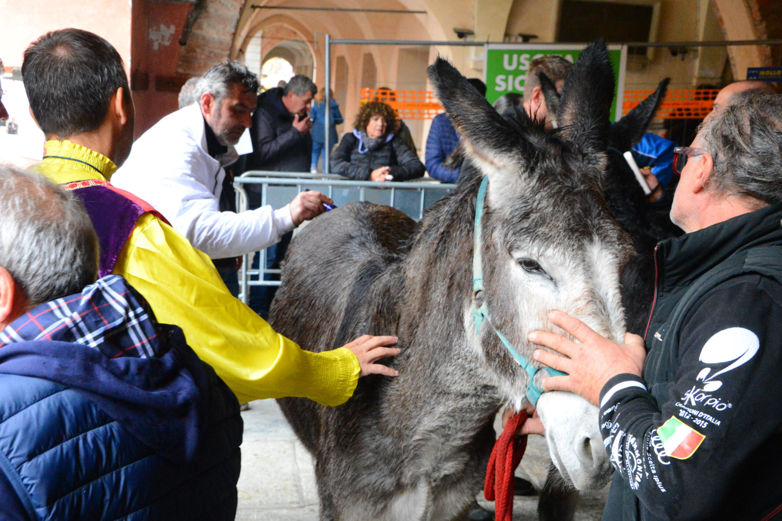 Domenica 5 ottobre si corre il Palio: tutto quello che c'è da sapere 1
