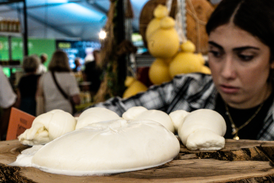 Cheese 2025: «Cheese ci ha insegnato a cambiare sguardo», inaugurata l'edizione 2025 della rassegna di Bra 16