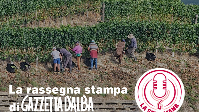 LASETTIMANA_SITO_vendemmia La settimana / Perché non recuperare le vecchie cascine per destinarle all'accoglienza dei braccianti stranieri nelle vigne di Langa? (IL PODCAST) 1