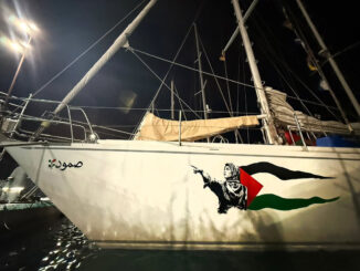 Maria Elena Delia, torinese, alla guida della flottiglia italiana per Gaza 1