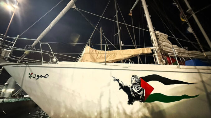 Maria Elena Delia, torinese, alla guida della flottiglia italiana per Gaza 1