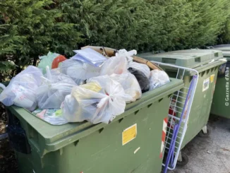 Alba / Con le nuove regole i sacchi dell'indifferenziata restano nei bidoni di viale Masera 1