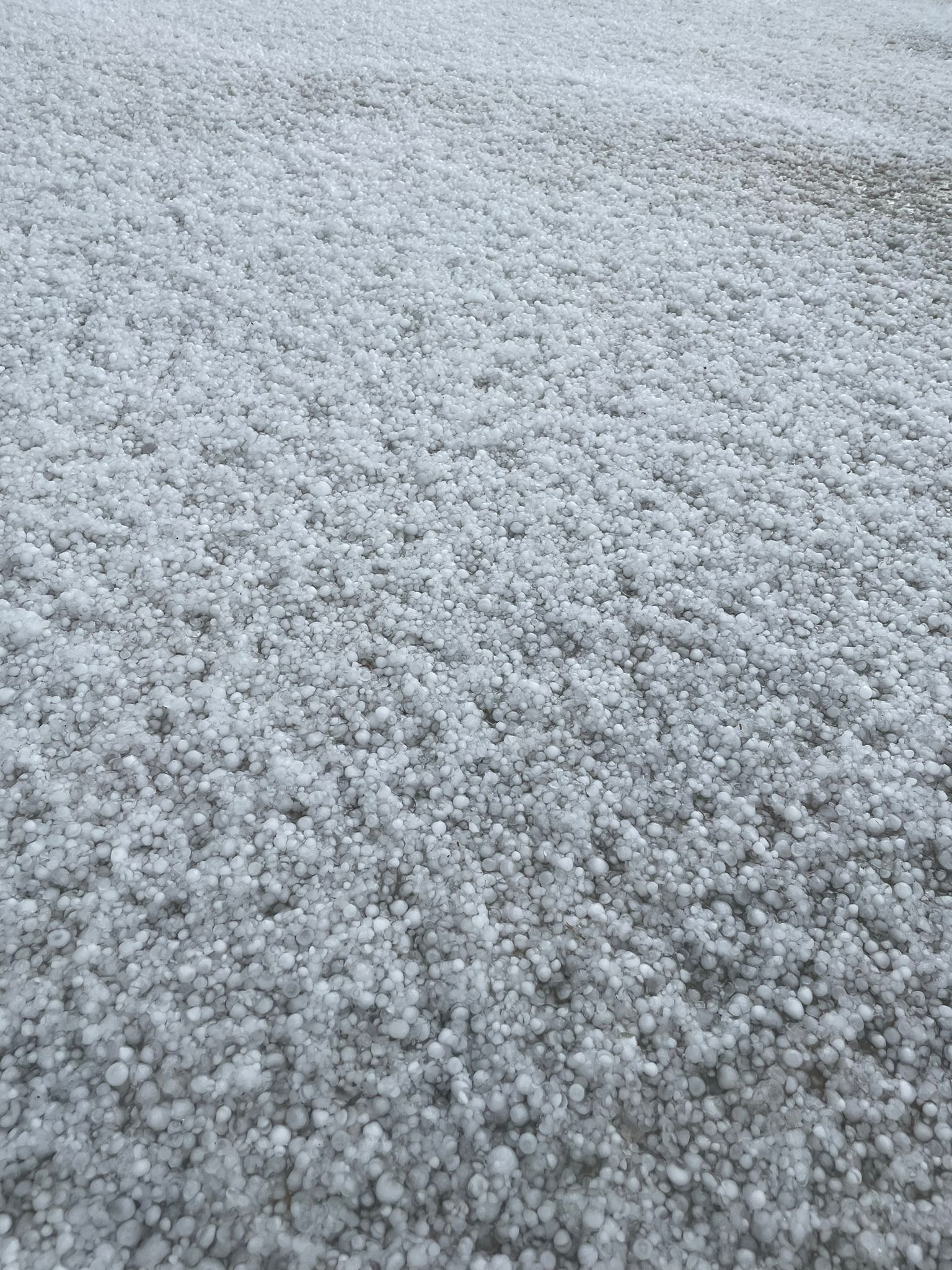 Temporali forti e grandine in Langa [foto e video] 3