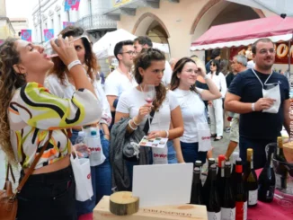 Domani (28 settembre) ad Alba c'è la Festa del vino con Go wine