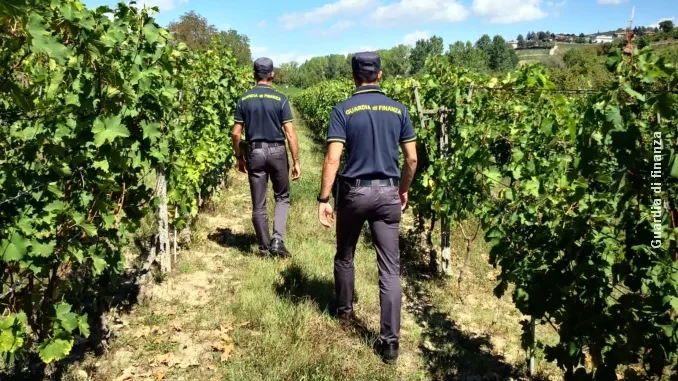 Guardia di finanza controlli nelle vigne