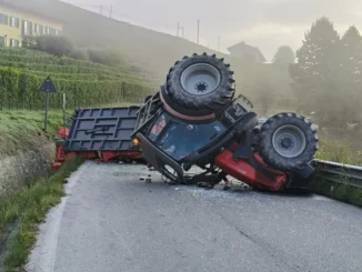 Trattore carico di uva capovolto sulla strada verso Monforte, guidatore trasportato a Cuneo 1