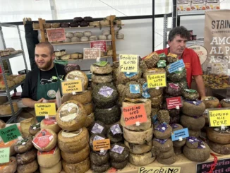 Cheese 2025: le storie dei pecorini dai mille gusti