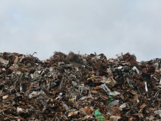 Legambiente: un ecoreato al giorno per la Granda