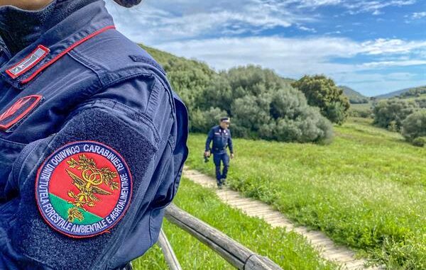 tutela_forestale Furti nelle isole ecologiche, 14 perquisizioni in provincia di Cuneo