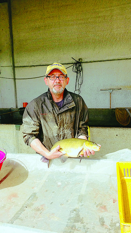 LA STORIA Le tinche di Ceresole incontrano il riso Gigante Vercelli 3