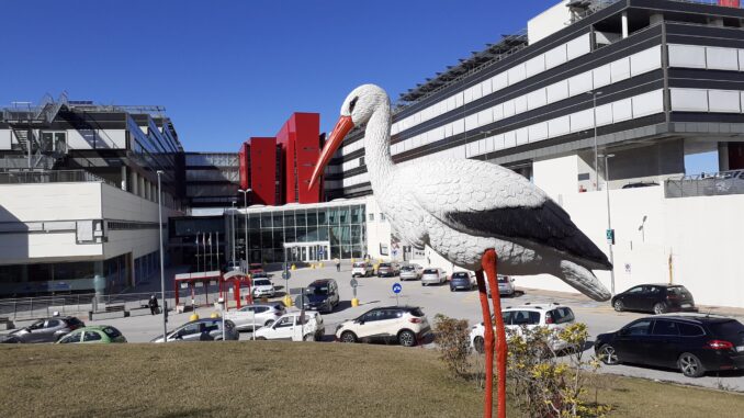 Foto puntonascita2  10