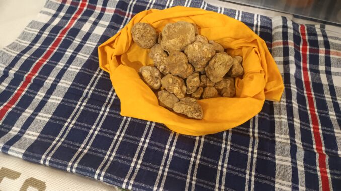 IMG_20251010_193917 I tartufi? Pochi ma buoni, da 450 euro l'etto 1
