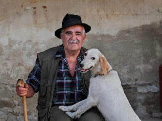 Mario Calabresi presenta ad Alba il podcast “Trifulau”