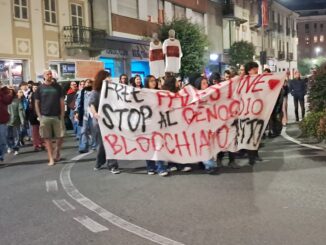 «In un corteo pacifico, volevamo soltanto poter dire la nostra»